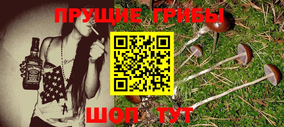 Псилоцибиновые грибы Cubensis Кумертау