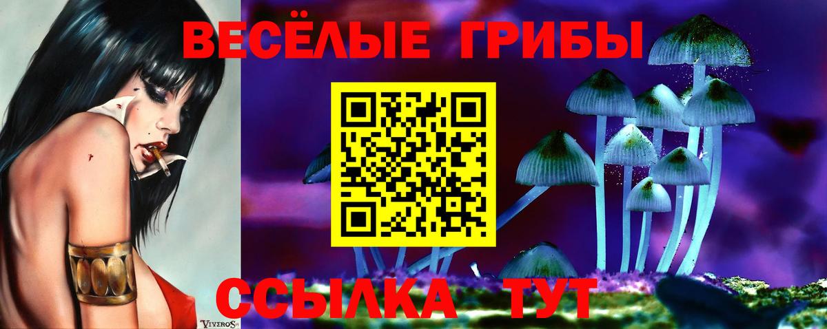 Псилоцибиновые грибы мицелий  Псилоцибиновые грибы ЛСД  Кумертау  Вход с VPN 